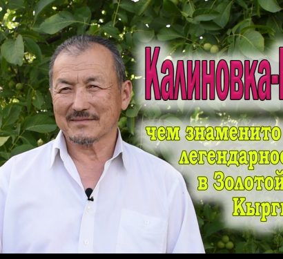 Калиновка-Кошой: чем знаменито это село в Золотой долине? (ВИДЕО)