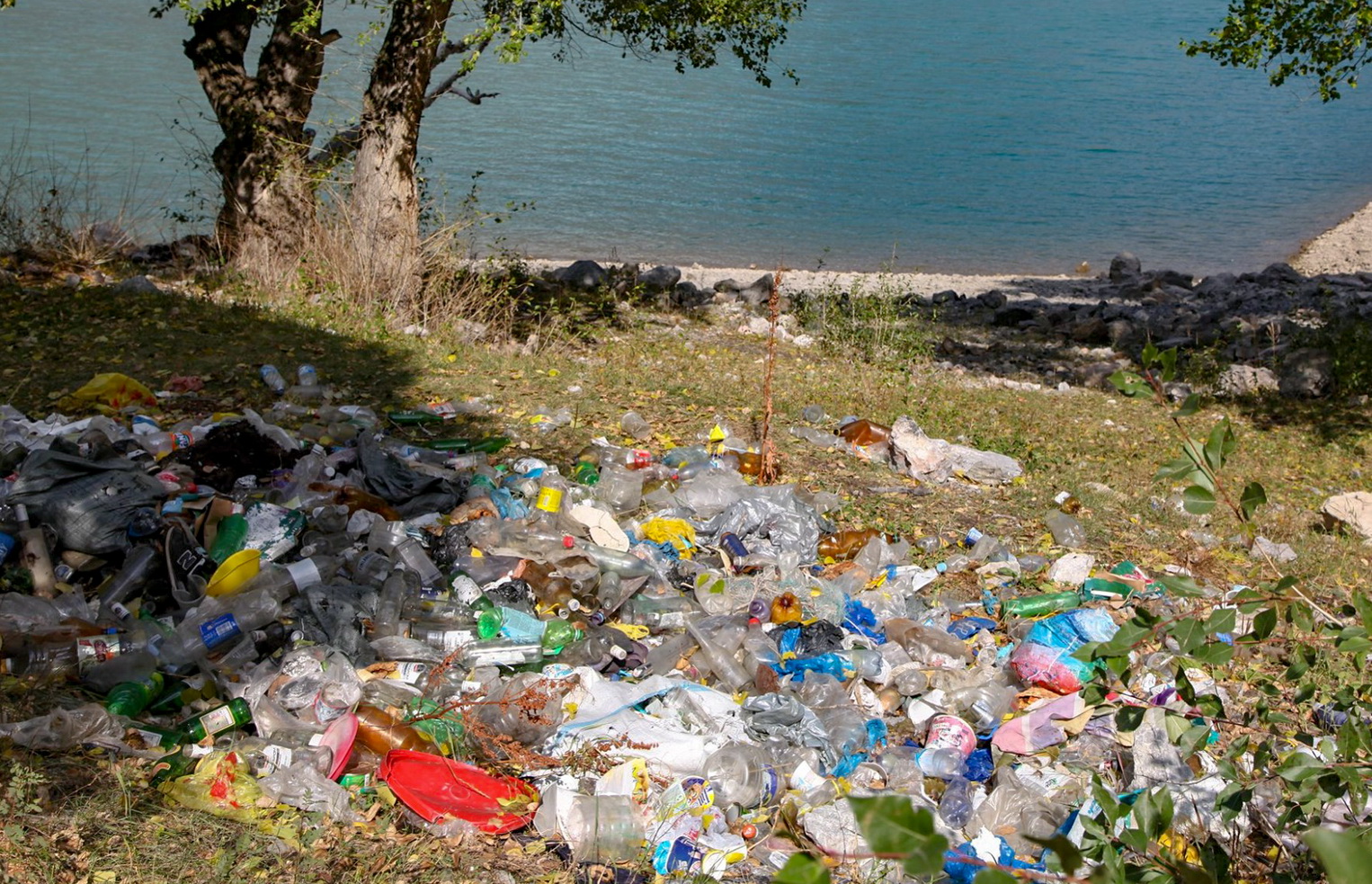 О чистоте не болтай, а поезжай в «Алатай»! ПРООН очистил берега озера Кара-Суу на юге Кыргызстана