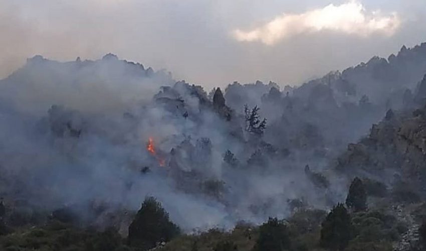 Пожар в «Ала-Арче» был самым масштабным в Кыргызстане