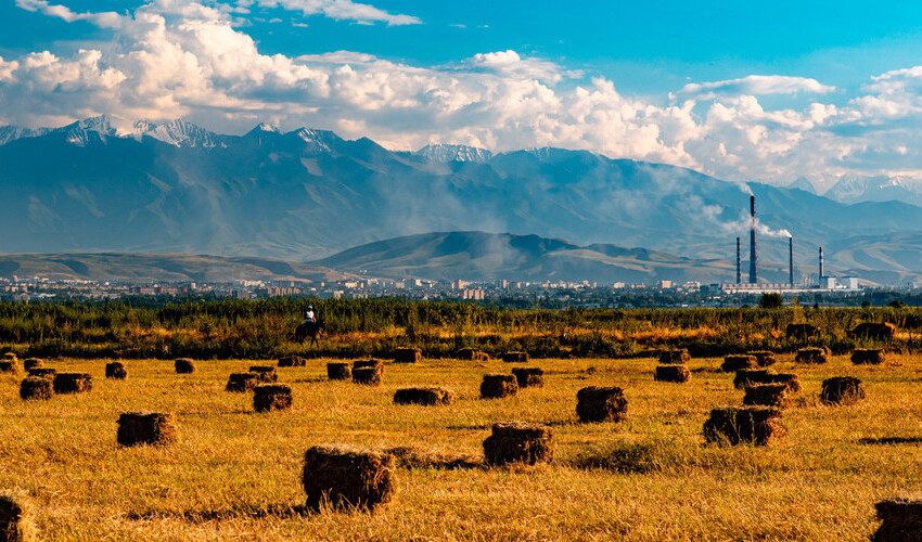 Состояние продовольственной безопасности в Кыргызстане