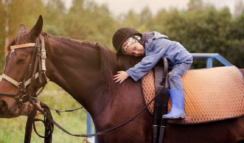 Иппотерапия: лечебная верховая езда