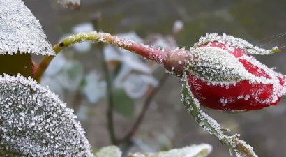 В конце недели в Бишкеке ожидается первый снег