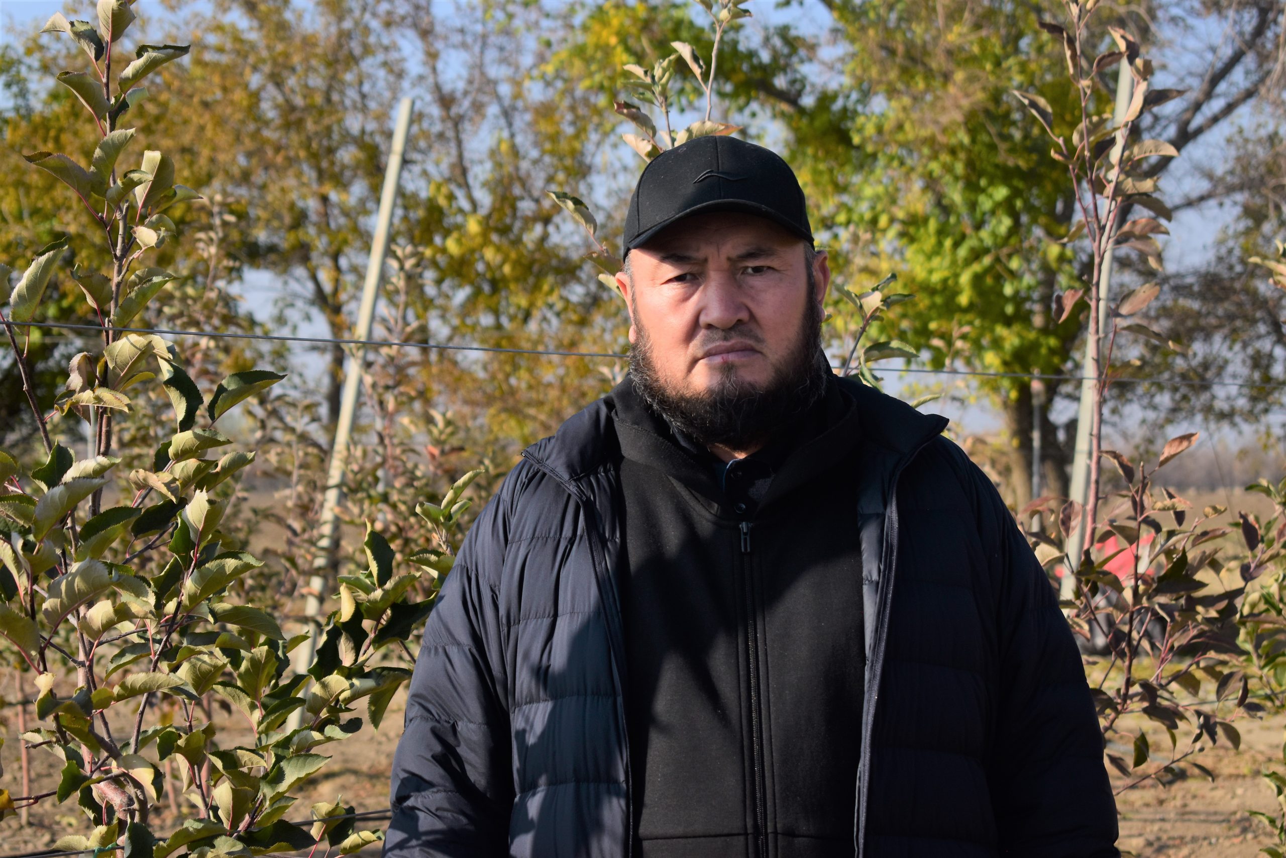 Будущее Кыргызстана за интенсивным садоводством