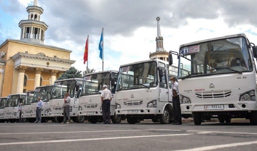 Бишкек: половина новых узбекских автобусов простаивает из-за нехватки водителей