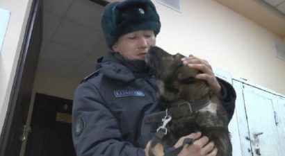 Беспорядки в Казахстане: трогательная встреча солдата и украденной военной собаки