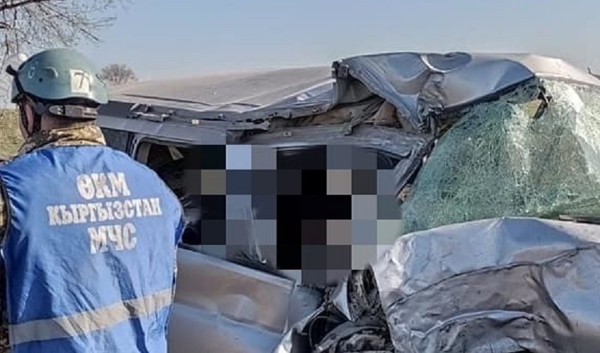 В Московском районе машина врезалась в дерево. 2 пассажира умерли, 6 пострадали