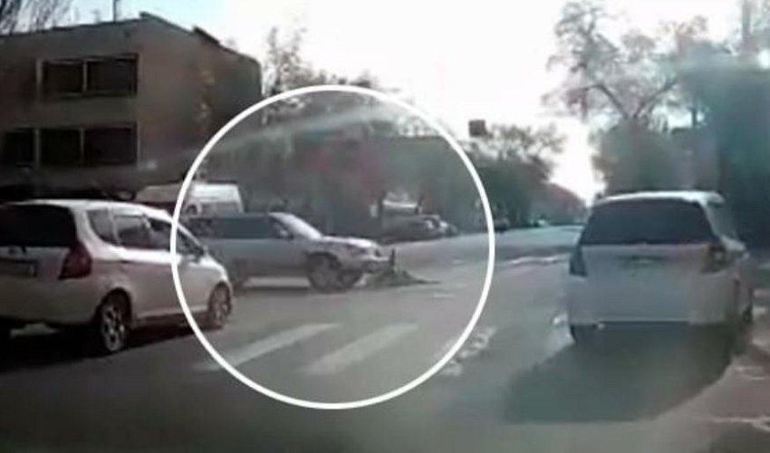 В Бишкеке пьяный водитель насмерть сбил девушку. Его водворили в ИВС ГУВД г. Бишкек